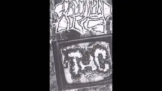 Total Hipster Crusher / Gorgonized Dorks (Total Hipster Crusher Tracks)