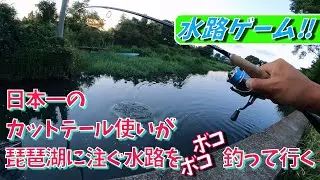 [神のカットテール]琵琶湖に注ぐ水路を本気で釣っていく編！［バス釣り］