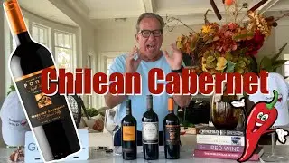 Intro to Chilean Cabernets || Great Value Wine || Decants With D