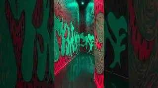Did you know Meow Wolf has a trippy watermelon room?