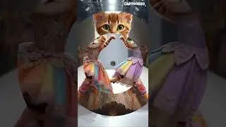 These Cats Pose Like Supermodels 😼🔥  Cat Fashion Short