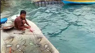 Mau Makan Ikan❓Tinggal Mancing Di Dapur Saja Tak Perlu Jauh Kelaut Yang Dalam