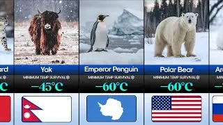 Animals Cold Resistance Comparison 🧊 | Who Survives the Coldest Temperatures on Earth? | CompareIt