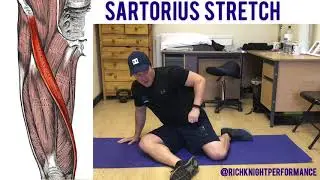 Sartorius Muscle Stretch