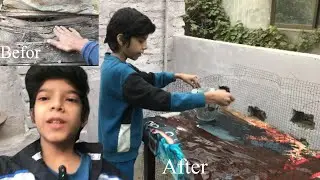 Aj humny plants ke table ko paint kiya