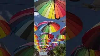 Umbrella Decoration #happy #fun #decoration #Design #attractive