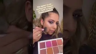 SCOTT BARNES chic cheek #1 palette is gorgeous! #shorts #shortsvideo
