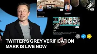 Twitter&rsquo;s grey verification mark for government officials is live now