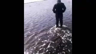 сельский водохлеп продолжение