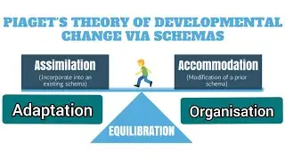 Components of Jean Piaget's Theory | Piaget's Theory of Development Change via Schemas