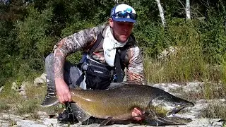 HUGE! Maitland river salmon fishing  in Goderich ontario