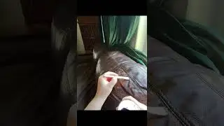 Окрашенный кожаный диван