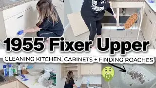 Cleaning My 1955 Fixer Upper. New House Clean with Me. Roaches Everywhere! 🪳