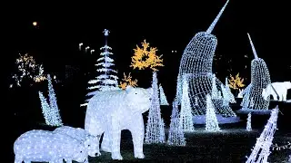 Lights in the Park 2025 is HERE!