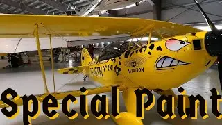 So Special Pitts TF-BTH at ICELAND AVIATION MUSEUM
