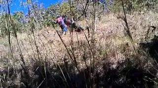 VIDEO0039