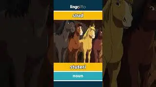 🇬🇧🇸🇪 stud - stuteri : learn English : l&aring;t oss l&auml;ra oss engelska : vocabulary builder