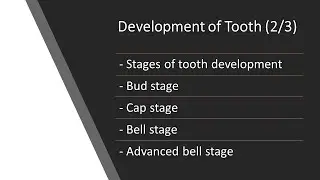 Dental 360 | Oral histology | Lecture on stages of tooth development | Development of tooth 2/3
