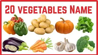 20 Vegetables for Kids | Learn Vegetables Names for kids | vegetable picture  Fun for kids
