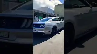Ford Mustang 5.0 Liter V8 height performance