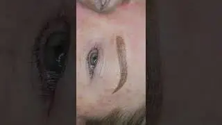 Microshading fresh 2024