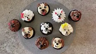 How to make Pupcakes!