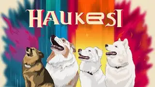 HAUkersi -  jedyny taki zesp&oacute;ł na świecie #haukersi #dogband #PsiZesp&oacute;ł