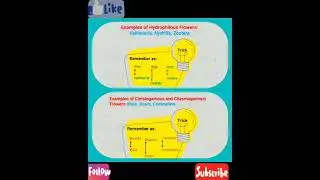 NEET 😊 ll Tricks to remember ll Cleoistogamous and Chasmogamous flowers 💐&hearts; ll Hydrophilous flowers💐