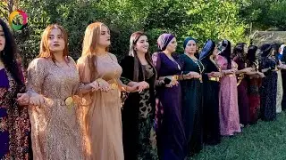 Kaşuran aşireti 