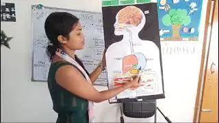 Let's know how to digest food in our body 🫁🫀