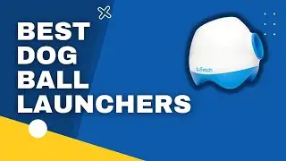 Top 3 Best Dog Ball Launchers in 2023