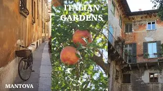 Italian Gardens, Sbrisolona, and the Polimi Campus in Mantua