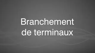 DERYtelecom - Branchement terminaux