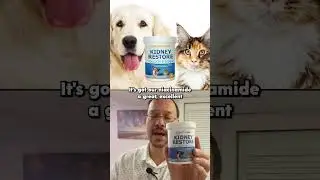Kidney Restore Cats And Dogs Unflavored  - Best Kidney Supplement for Cats and Dogs