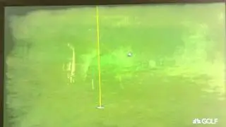Dustin Johnson makes hole in one on #4 at Trump National Doral