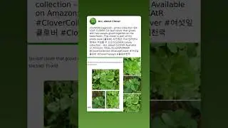 [CLOVER] page118 - photo collection SIX-LEAF CLOVER