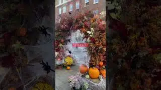 Happy Halloween🎃in UK🇬🇧#londonvlog #ukvlog #halloween2022 #vlog #イギリス生活