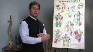 Toronto Chiropractor Dr. Kelly Robazza - Acute Back Pain - causes and treatment