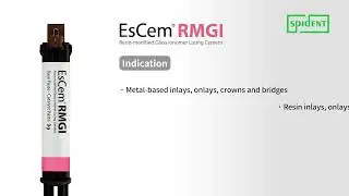 EsCem RMGI Technical Guide
