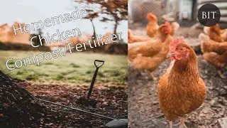 Lightening Fast Chicken Manure Compost - Easily Make Your Own Compost for Your Plants to Thrive - 1