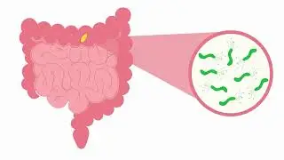 CureHealth Introduction
