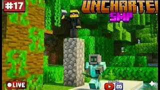 Chill Minecraft & Music 🎧 | Working on the Projects