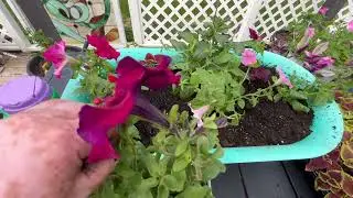Continuing Our Pink Flower Theme in Deck Rail Planters!
