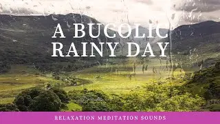 Relaxation in a A Bucolic Rainy Day - A Reflective Moment