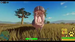 Savana Life