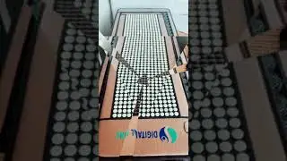 Digital Spine Premium Mattress