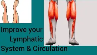 Improve lymphatic system and blood circulation (legs up wall exercise)
