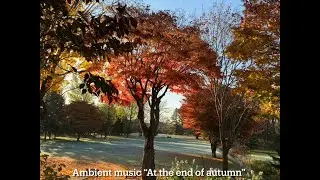 Ambient music &ldquo;At the end of autumn&rdquo; / sdkc instruments（定吉楽器） Helical / strymon Magneto