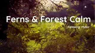 Ferns & Forest Calm 🌿 | Beautiful Relaxing Music for Yoga, Meditation & Inner Peace