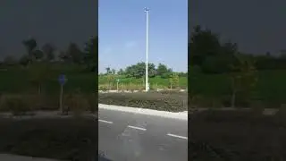 Forest Area here in Qatar #short video